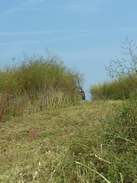 2 Clearing the Field (12)